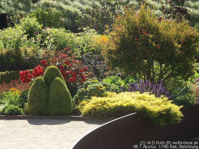 Büsche im Museumsgarten