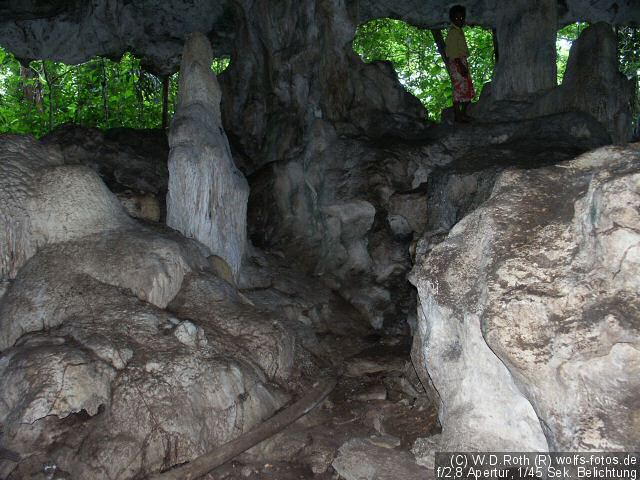 Die Schutzhöhle
