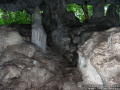 Die Schutzhöhle