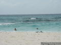 PICT1288