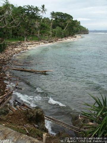 Strand 2