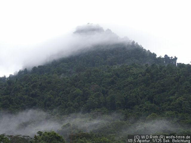 Berggipfel im Nebel