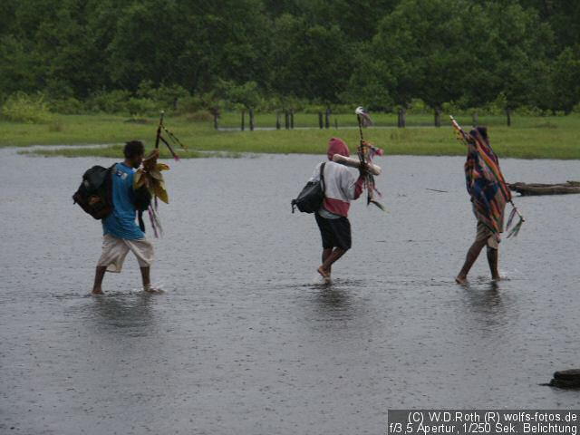 Sie wandelten auf, nein im Wasser...