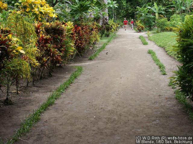Fast wie im botanischen Garten!