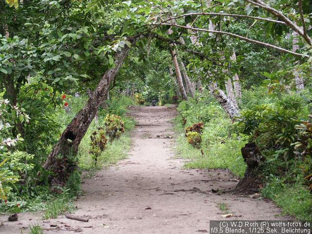 Weg durch die Insel...