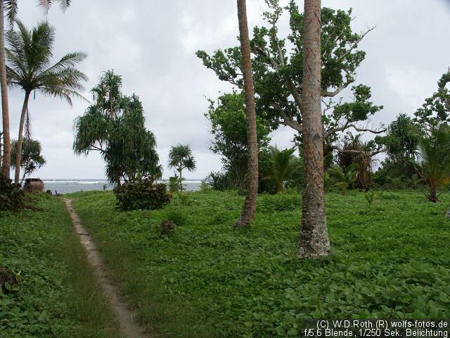 Blick von der Schule zum Meer