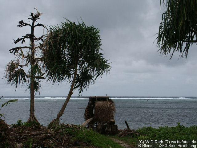PICT2848