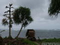 PICT2848