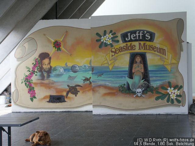 BenJeffs Piratenmuseum 3