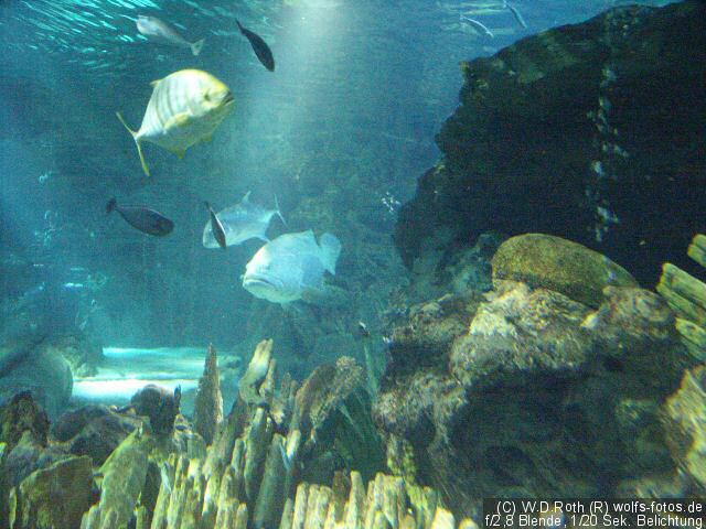 PICT3241